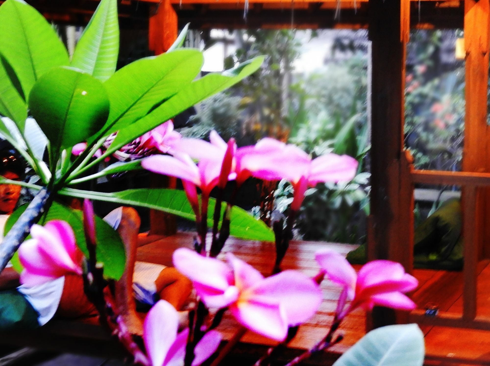 Toro Toro Bungalow غيلي آير المظهر الخارجي الصورة